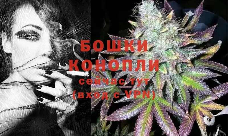 Бошки марихуана Ganja  Гай 